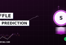 Shuffle Price Prediction 2026, 2027, 2030, 2050 | SHFL Jumps 70% in a Day
